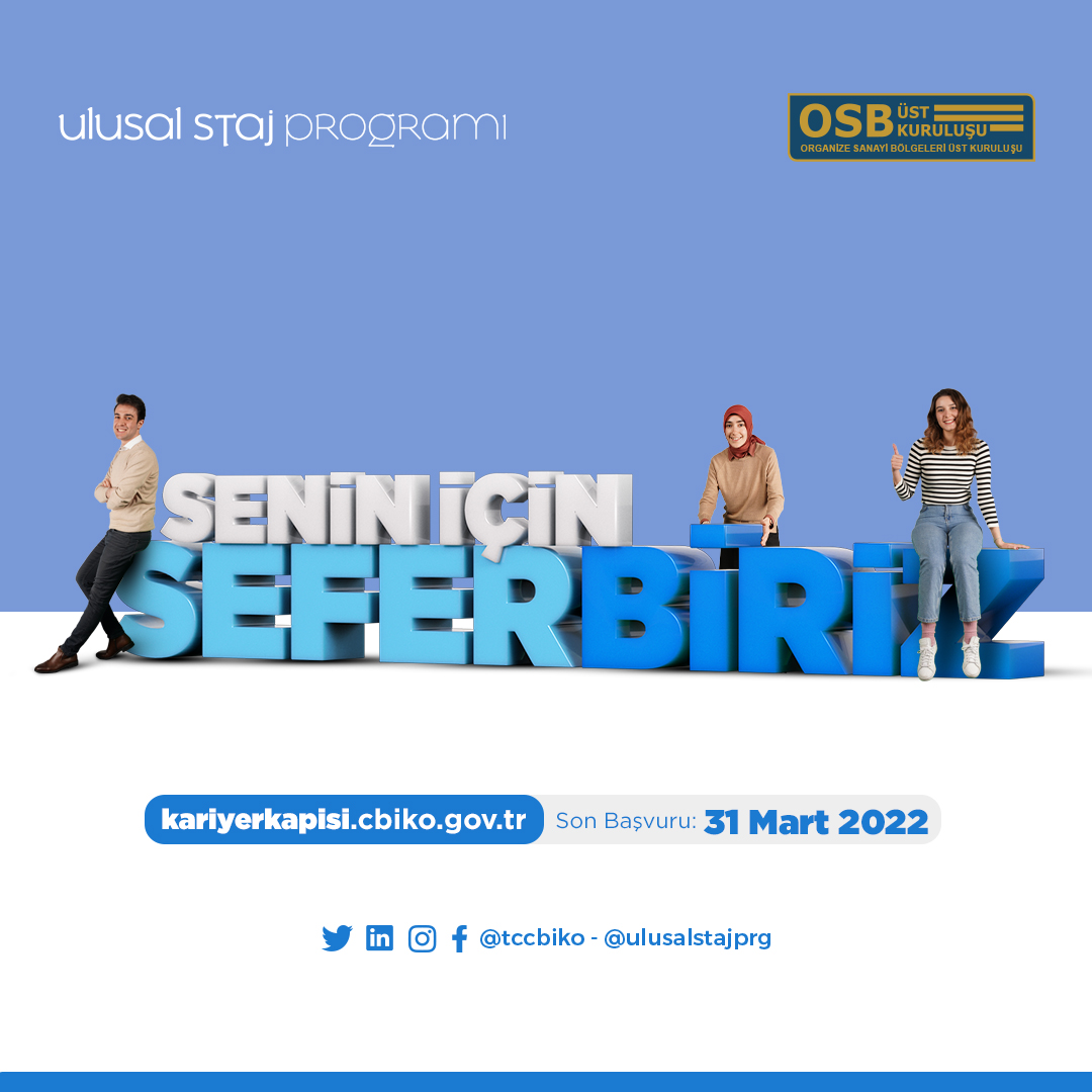 Ulusal Staj Programı